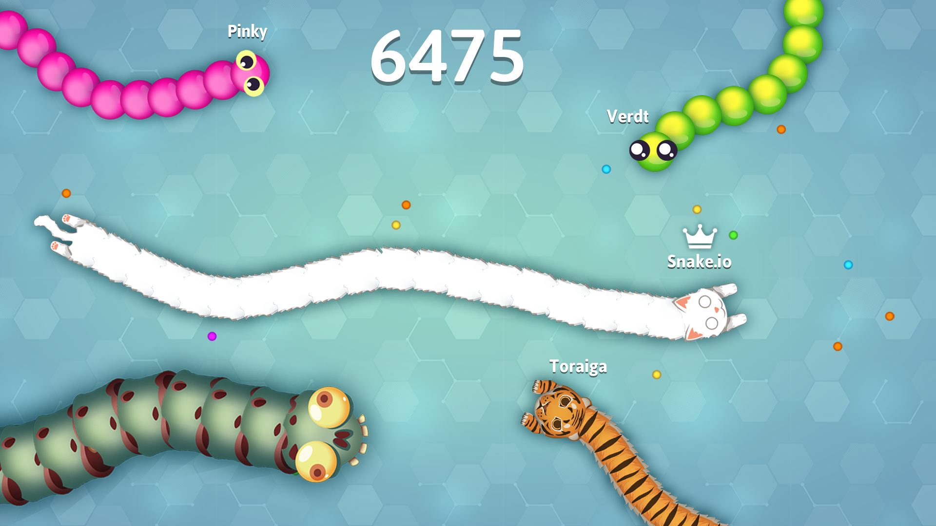 Snake.io Oyunu